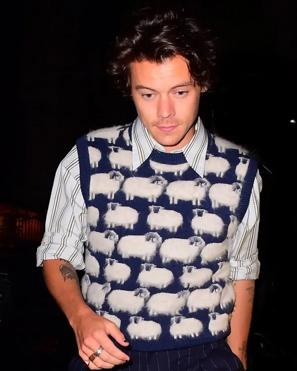 Harry styles sweater clearance